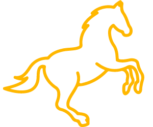 caballo icono