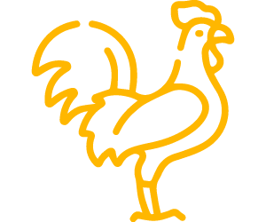 gallos icono